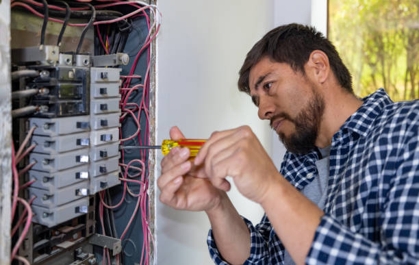 Best Generator Installation Services  in East Flat Rock, NC